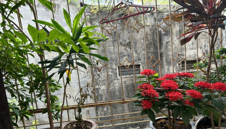 Cho thuê nhà ngõ 420 Khương Đình, 54m2, 3 tầng, 3 ngủ, 12 Triệu
